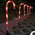 Solar Powered Cane String Lights Christmas Home Decor by 253444