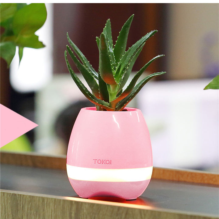 Vaso Musical Bluetooth Touch-sensitive