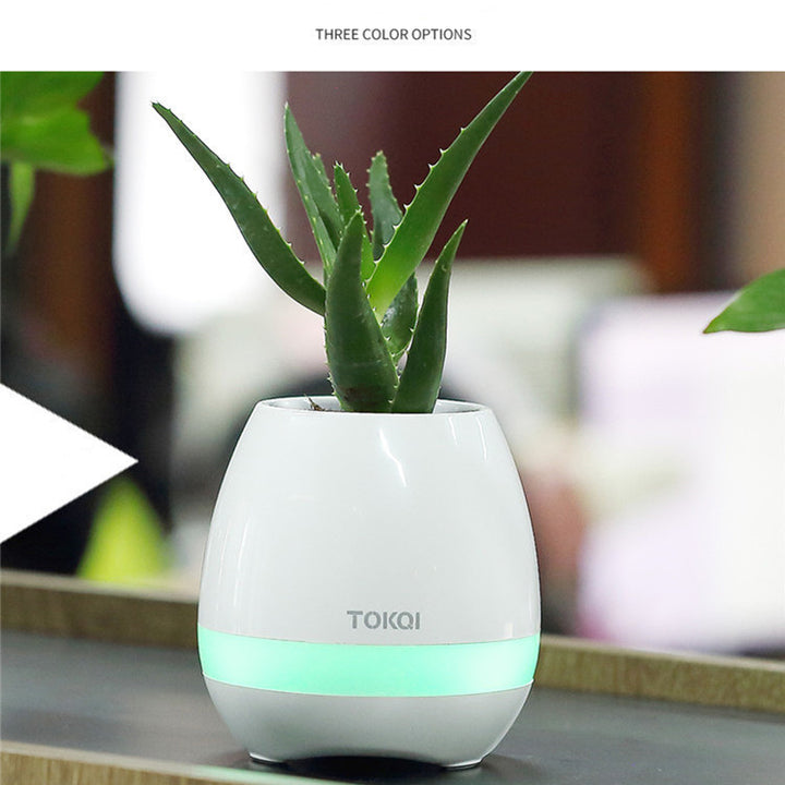 Vaso Musical Bluetooth Touch-sensitive