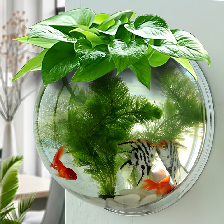 Wall-mounted flower pot, water-cultivated greenery flower pot, wall-mounted round decorative plate, transparent European-style vase, water-cultivated plant small fish tank dual-purpose, Christmas decoration flower pot by Casa Perfeita