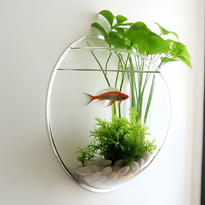 Wall-mounted flower pot, water-cultivated greenery flower pot, wall-mounted round decorative plate, transparent European-style vase, water-cultivated plant small fish tank dual-purpose, Christmas decoration flower pot by Casa Perfeita