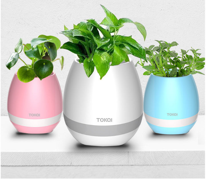 Vaso Musical Bluetooth Touch-sensitive