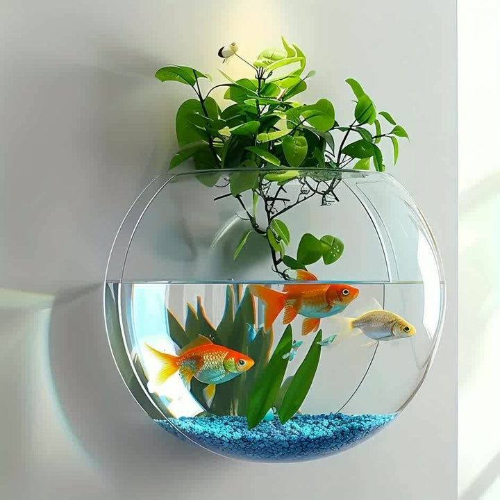 Wall-mounted flower pot, water-cultivated greenery flower pot, wall-mounted round decorative plate, transparent European-style vase, water-cultivated plant small fish tank dual-purpose, Christmas decoration flower pot by Casa Perfeita