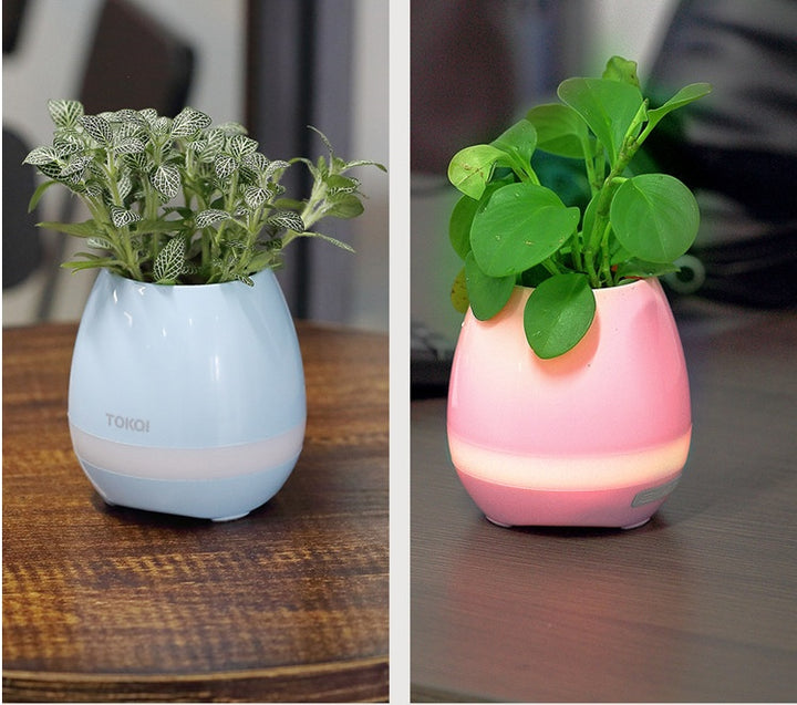 Vaso Musical Bluetooth Touch-sensitive