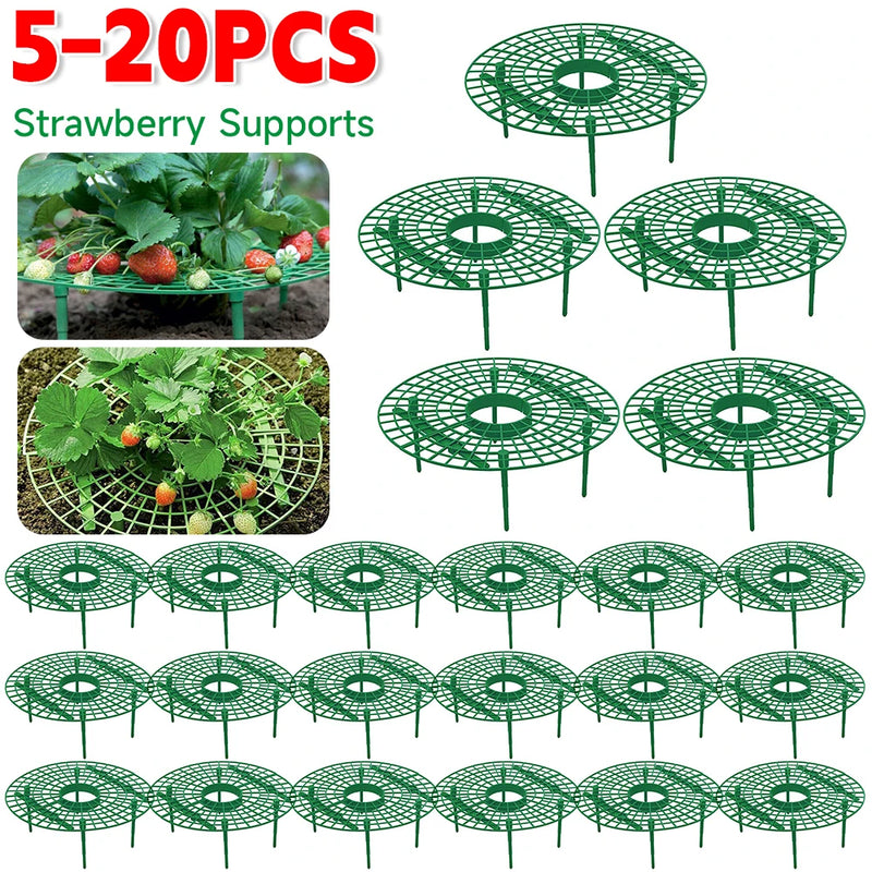 Suportes De Morango Para Plantas De Jardim, Fruit Stand, Growing Racks, Suporte De Plantas, Acessórios De Jardim, 4 Pernas Resistentes, 5Pcs by Casa Perfeita