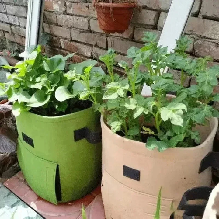 Planta de Feltro Crescer Sacos, Tecido não tecido, Garden Potato Pot, Estufa Vegetal Growing Bags, Hidratante, Ferramentas verticais, 3 estilos by Casa Perfeita
