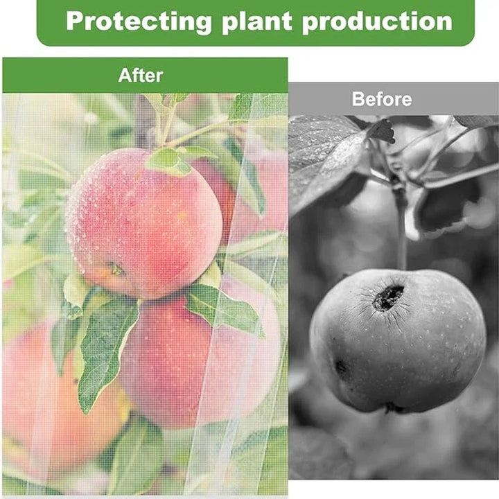 Grandes Frutas Árvore Rede com Zíper e Cordão, Capa De Inseto, Jardim, Pássaro, Barreira De Plantas, Tela De Malha by Casa Perfeita