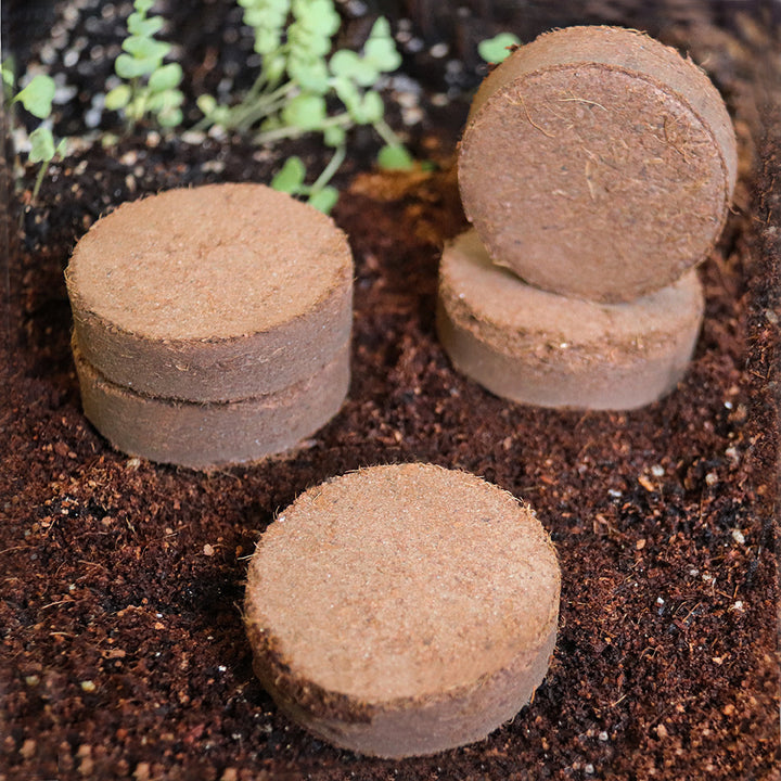 Bloco de Solo Nutritivo para Plantio e Germinação
