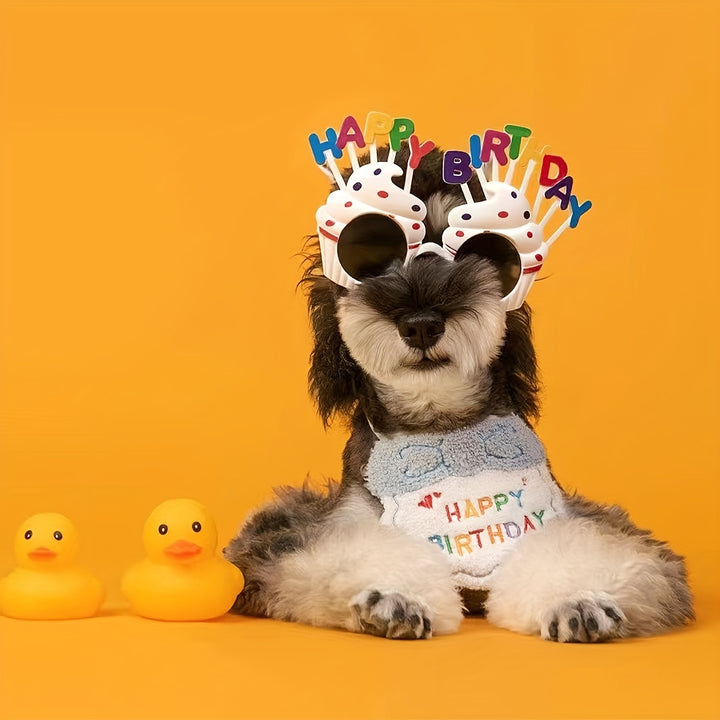 Make Your Pet's Birthday Special with this Adorable Dog Birthday Hat & Bandana Set! by Casa Perfeita