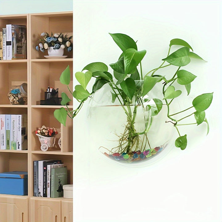 Wall-mounted flower pot, water-cultivated greenery flower pot, wall-mounted round decorative plate, transparent European-style vase, water-cultivated plant small fish tank dual-purpose, Christmas decoration flower pot by Casa Perfeita