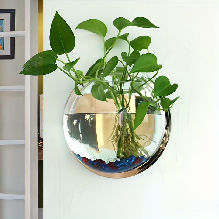 Wall-mounted flower pot, water-cultivated greenery flower pot, wall-mounted round decorative plate, transparent European-style vase, water-cultivated plant small fish tank dual-purpose, Christmas decoration flower pot by Casa Perfeita